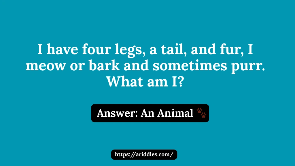 Animal Riddles