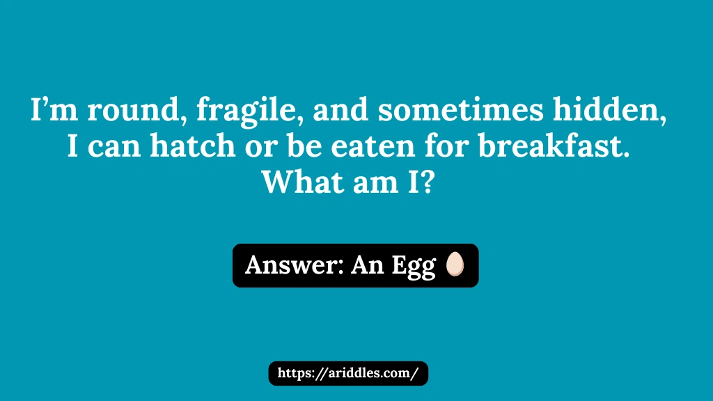 Egg Riddles