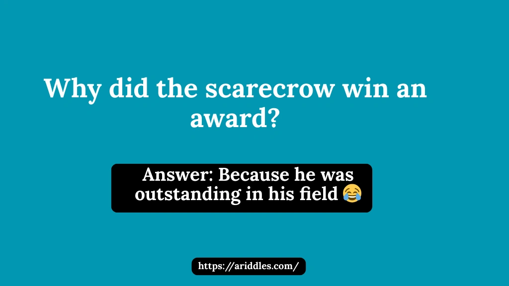 Funny Riddles for Adults