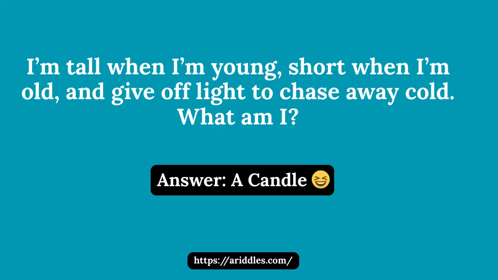 Funny Riddles for Kids