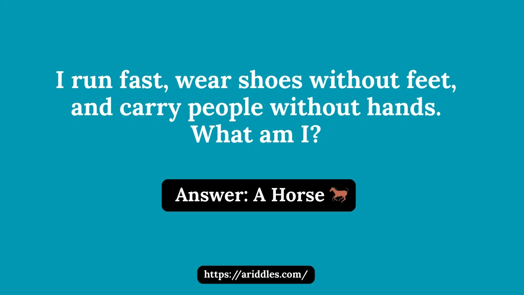 Horse Riddles