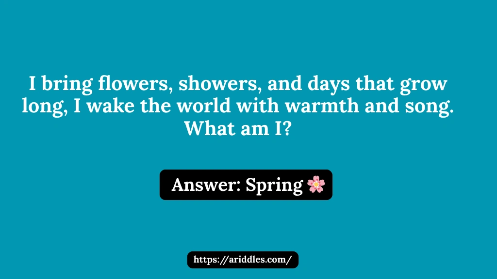 Spring Riddles