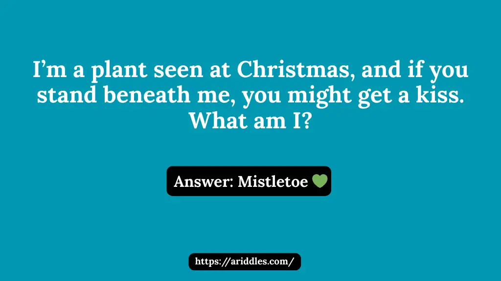 Christmas riddles
