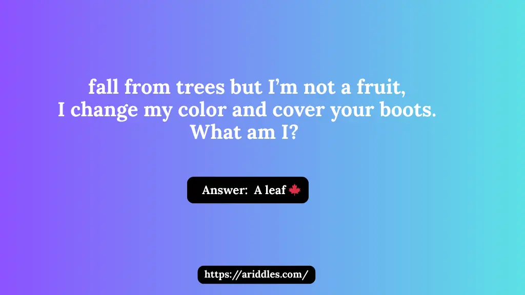 Autumn Riddles
