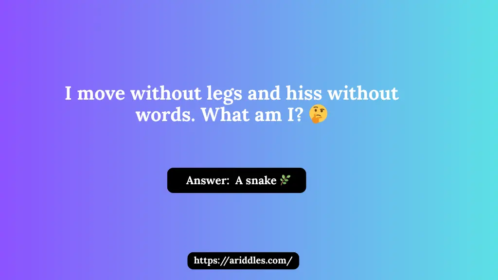 Snake Riddles
