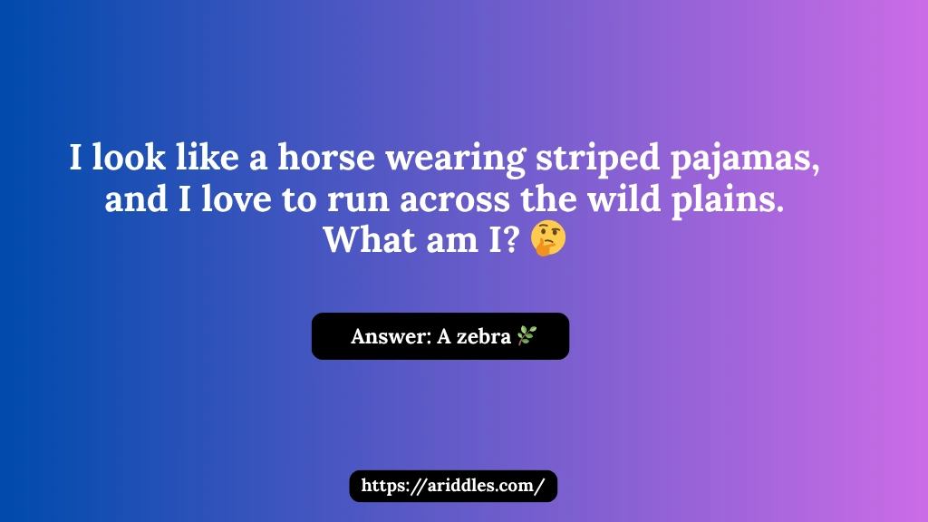 Zebra Riddles