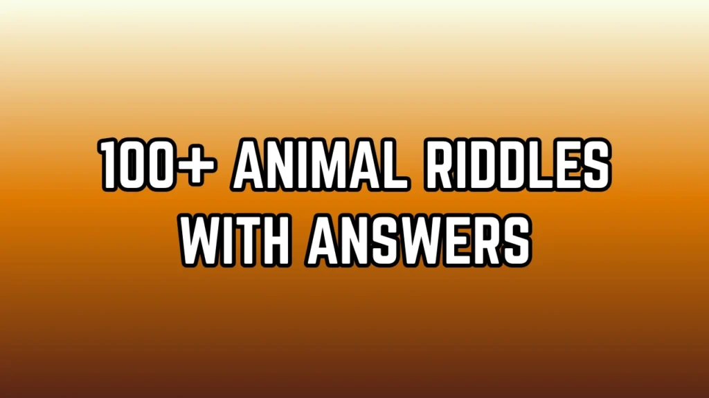 Animal Riddles
