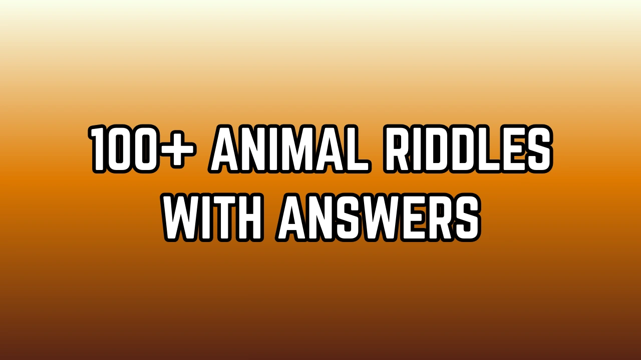 Animal Riddles