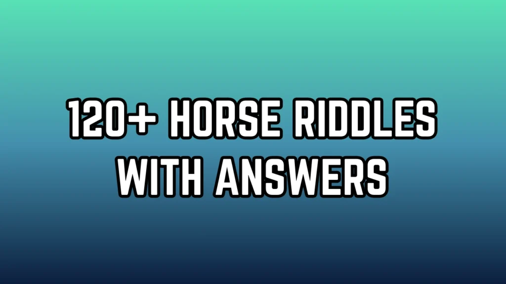 Horse riddles