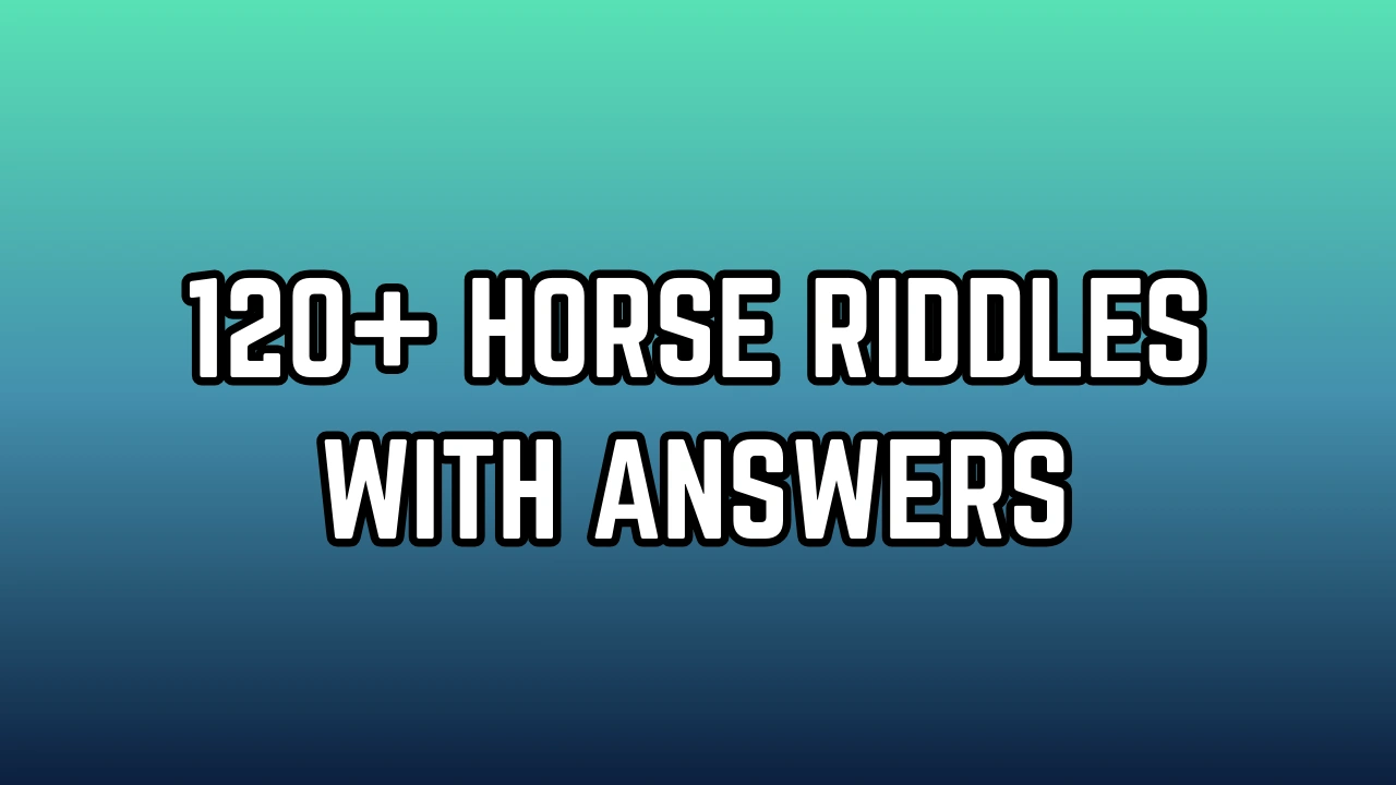 Horse riddles