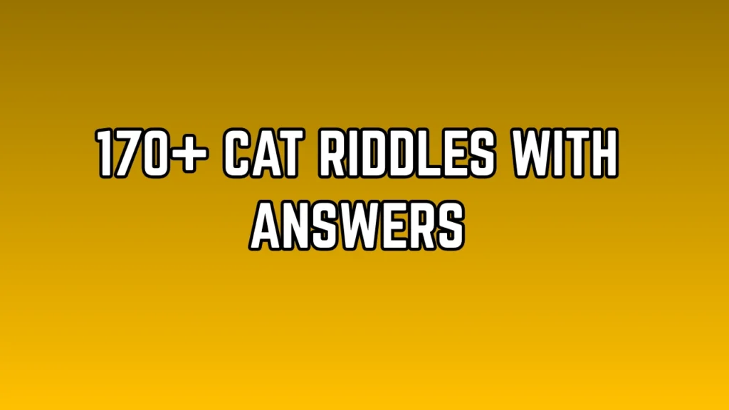 Cat Riddles