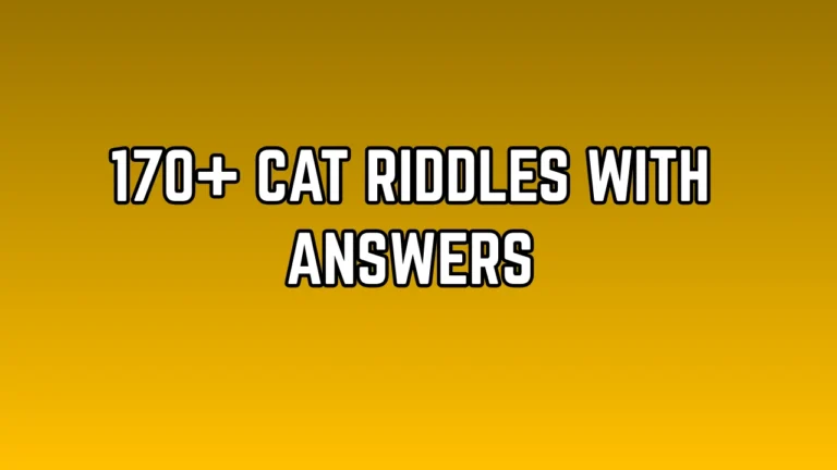 Cat Riddles