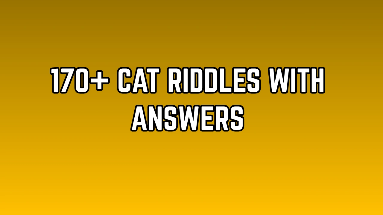 Cat Riddles