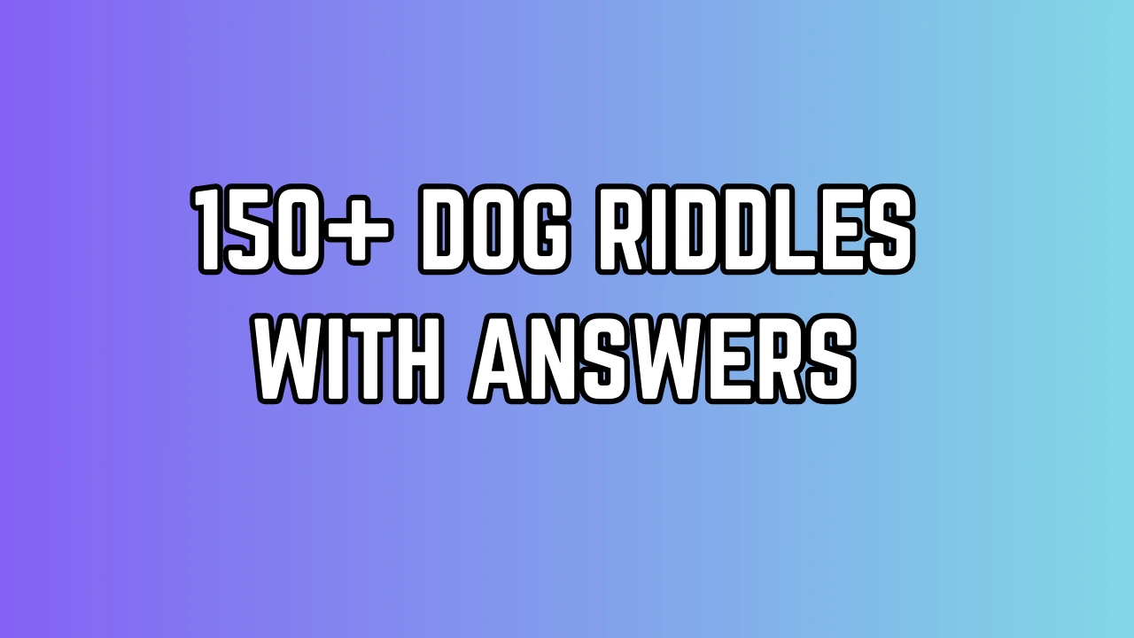 Dog Riddles