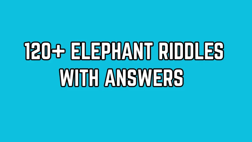 Elephant Riddles