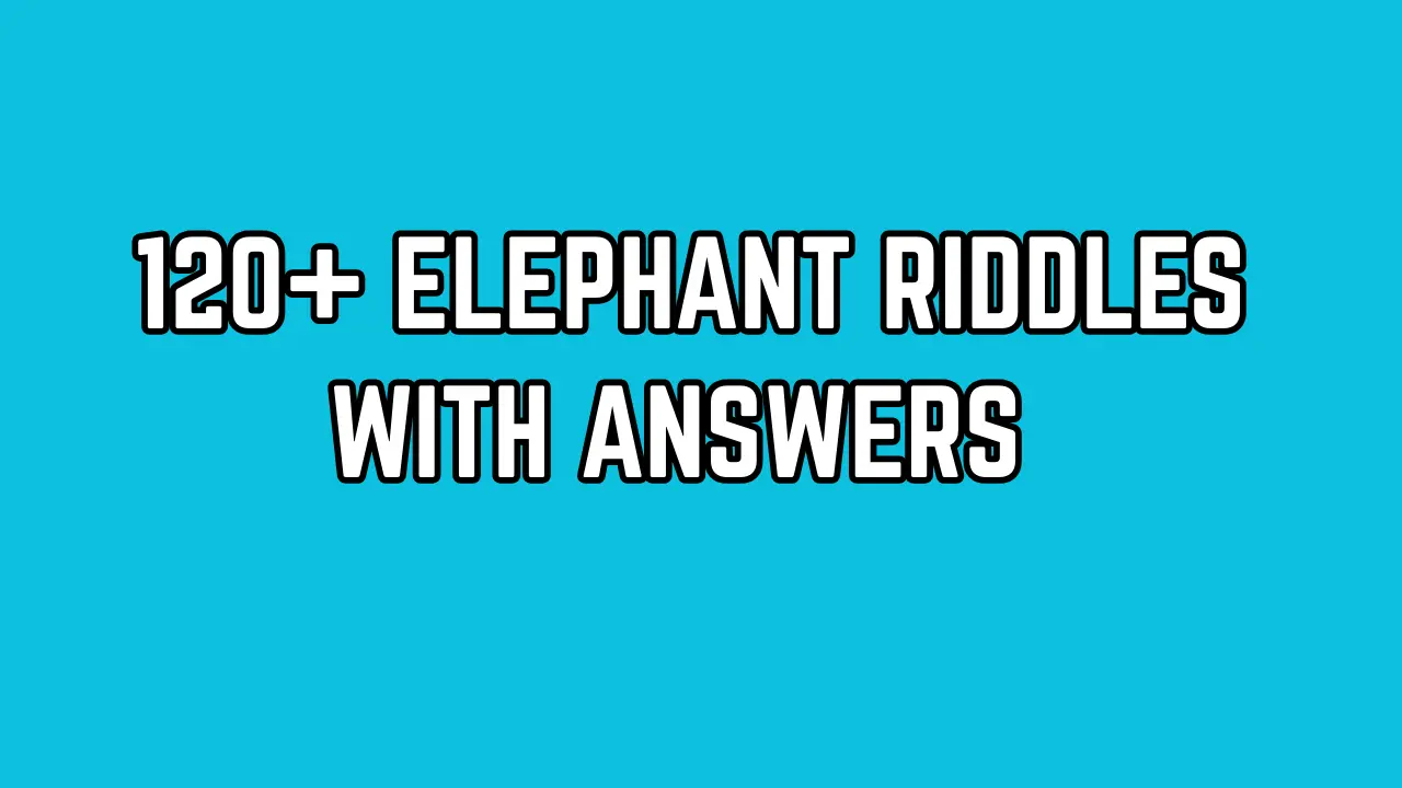 Elephant Riddles